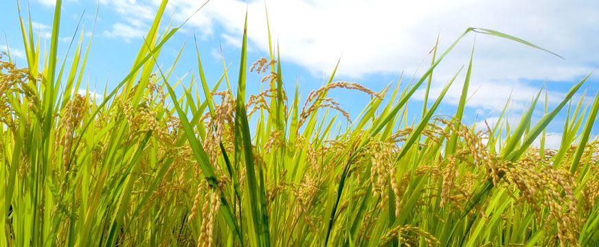 夜行バスツアーイメージ