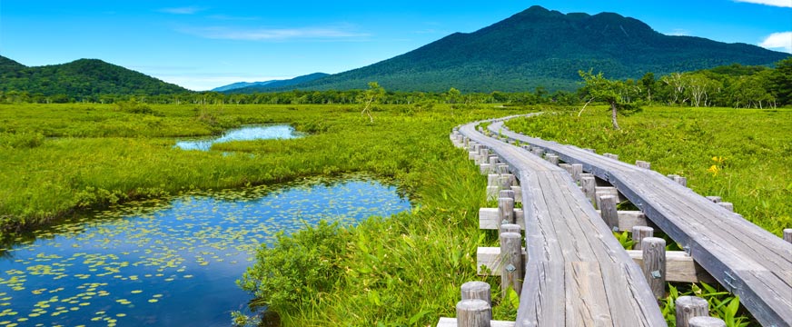 夏が来れば思い出す 遥かな尾瀬 遠い空～♪