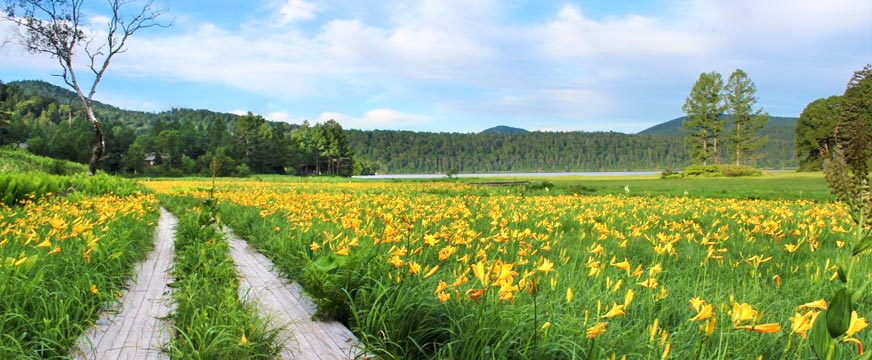 尾瀬の自然を山小屋に泊まって体感。深く心に残る思い出♪