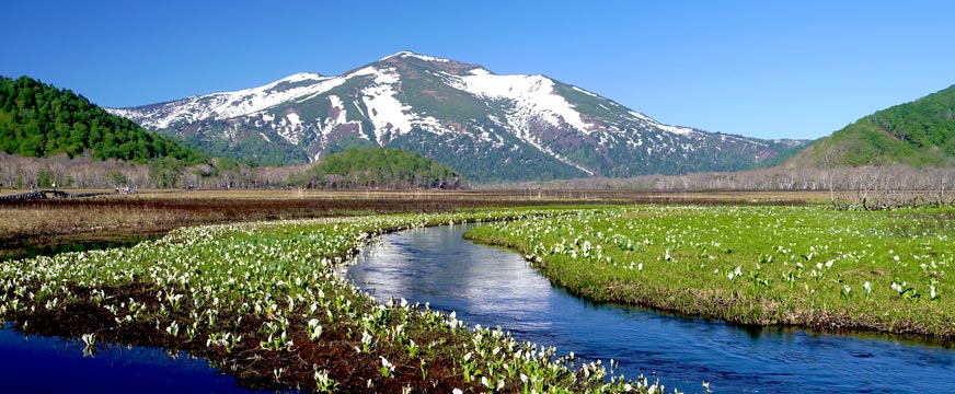 散策気分で気軽に楽しめる尾瀬日帰りツアー