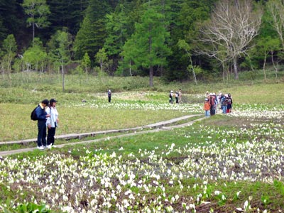 研究見本園