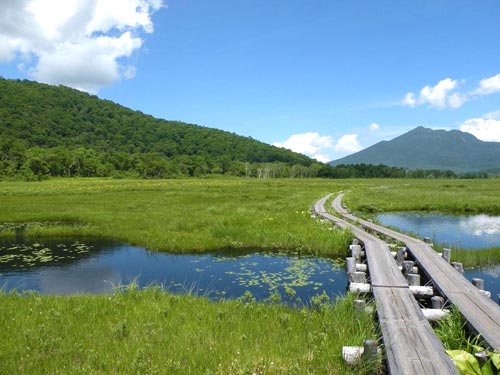 盛夏の尾瀬ヶ原竜宮付近