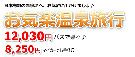 お気楽・お気軽な温泉旅行　バスで楽々・マイカーでお手軽♪　有名温泉のお宿1泊夕朝食＋往復バスで12,030円