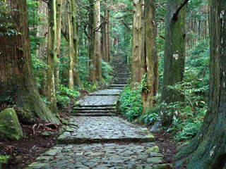 世界遺産「熊野古道」の神域