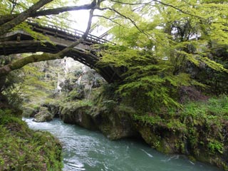 こおろぎ橋