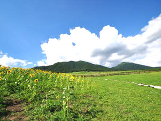 蒜山高原