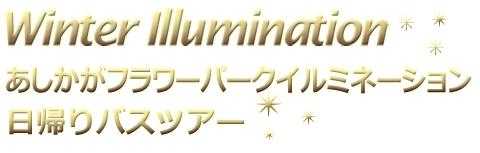あしかがフラワーパークイルミネーション　日帰りバスツアー